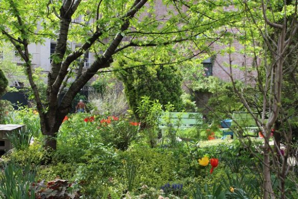 Orchard Alley community garden