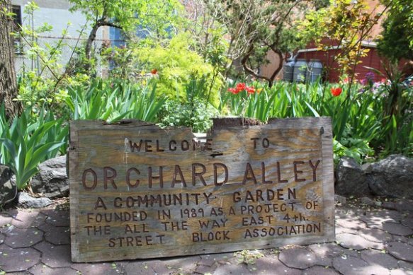rsz_orchardalley_sign