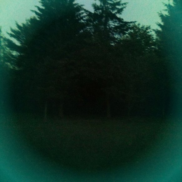 rforest_circle_hipstamaticRev