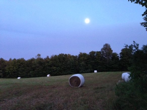 Twilight in the hayfield