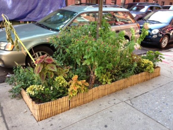 lush bed garden with a bamboo fence
