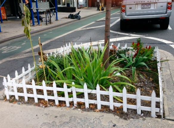 this gardent was created and is tended to by my friend Raquel