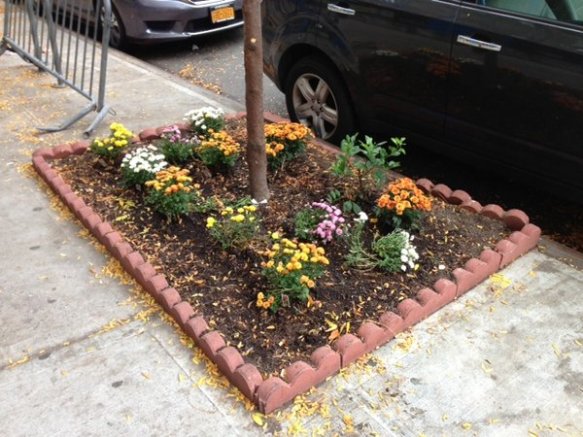 a suburban look with mums