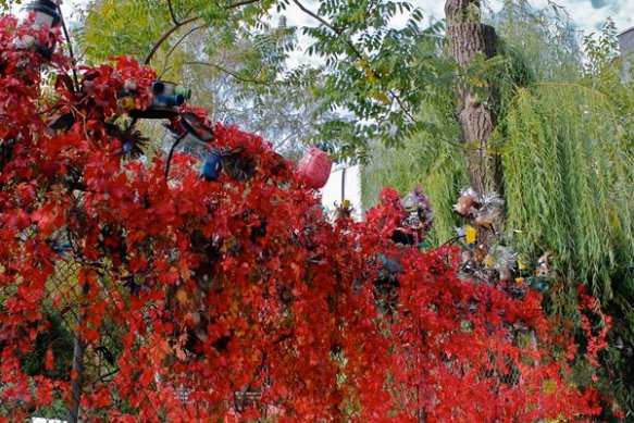 fence at la plaza cultural de armando perez community garden