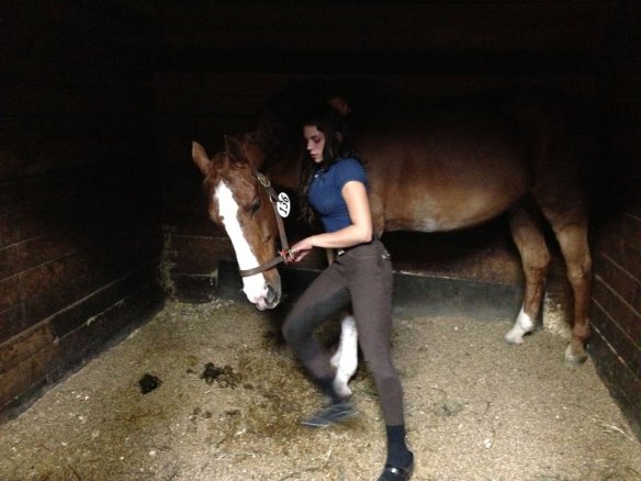 camelia_essex_dressage5