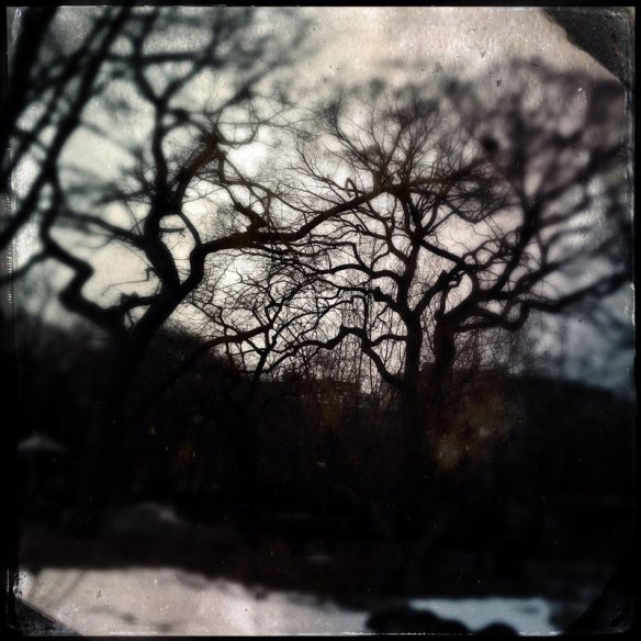 Tompkins Square Park