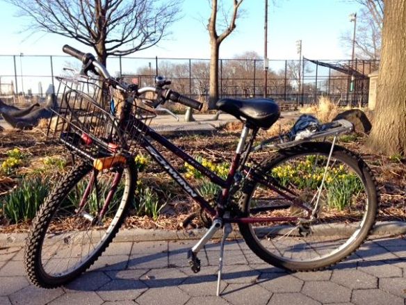 my purple schwinn, purchased at Recycle-a-Bicycle on Loisaida Ave. 