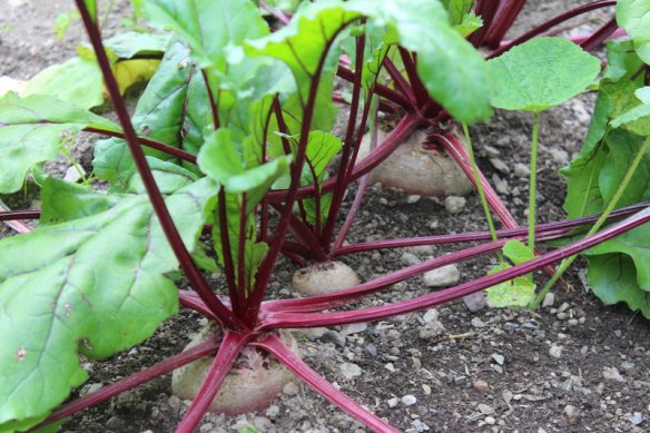 rsz_2014-08-14_164547