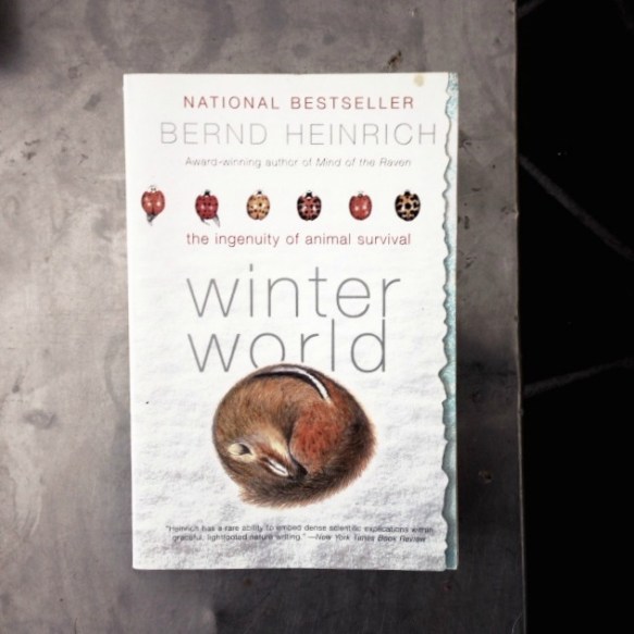 A great read for the winter, with beautiful illustrations by the author