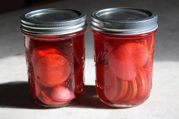 watermelonradishballjar