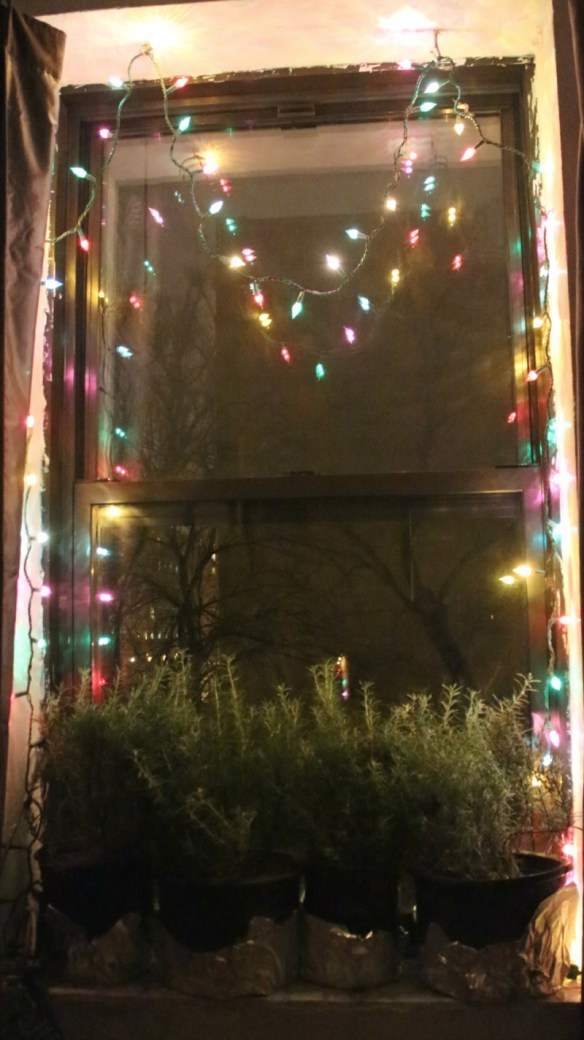 xmaswindow