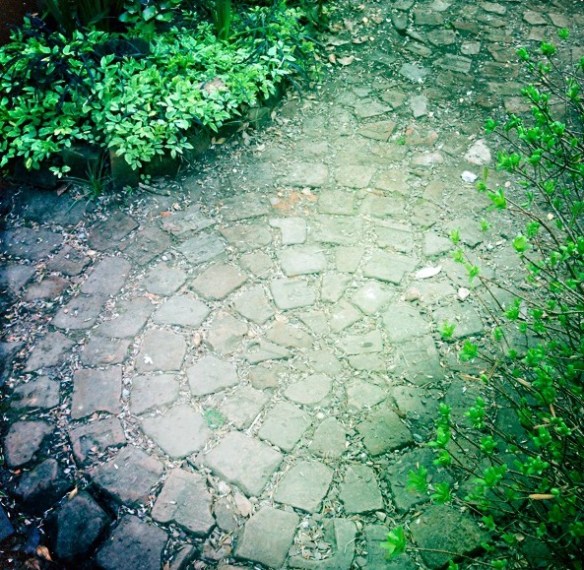 6BCgardenbrickpath