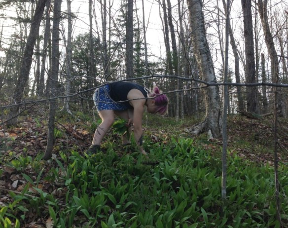 A sustainable harvest for the home cook