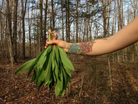 forest ramps | Loisaida Nest