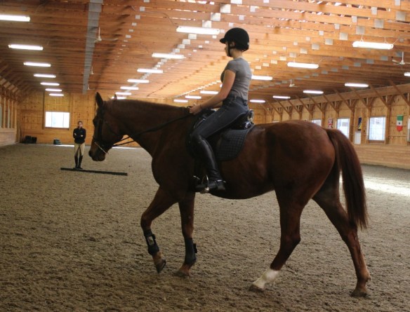Camelia Montalvo dressage instructor New Paltz, New York