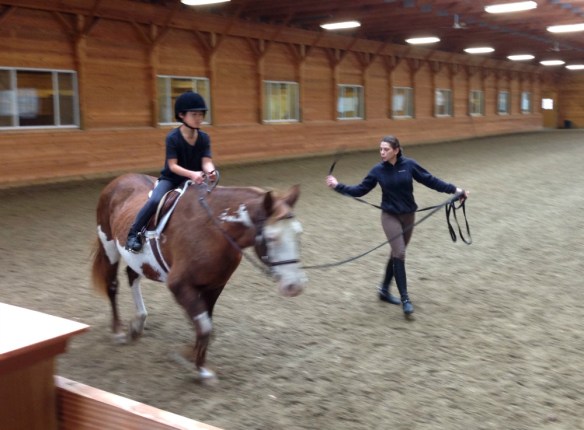 Camelia Montalvo dressage instructor New Paltz, New York