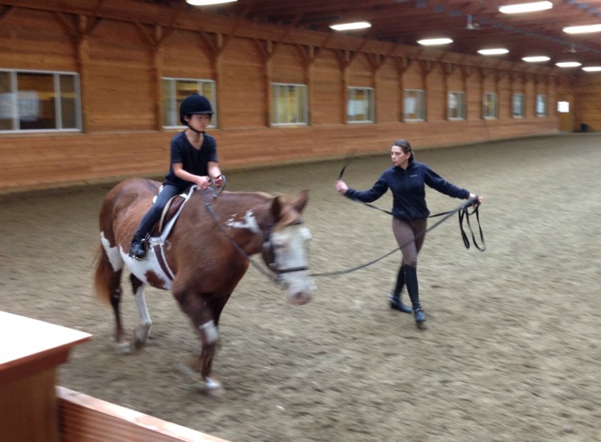 Camelia Montalvo dressage instructor New Paltz, New York